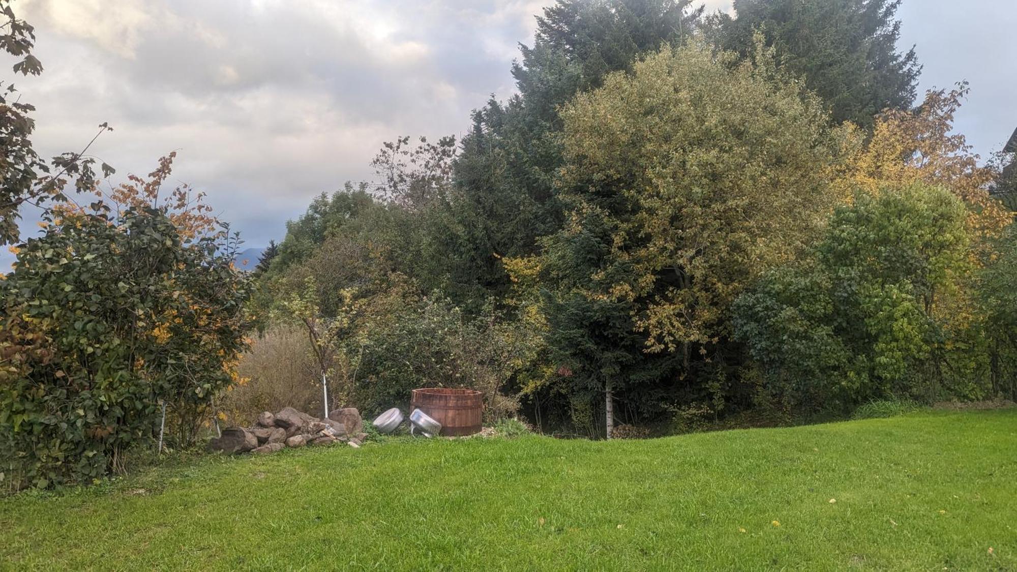 Domaine De La Griffe - Chambres D'Hotes "Roche Parnal" La Roche-sur-Foron Buitenkant foto